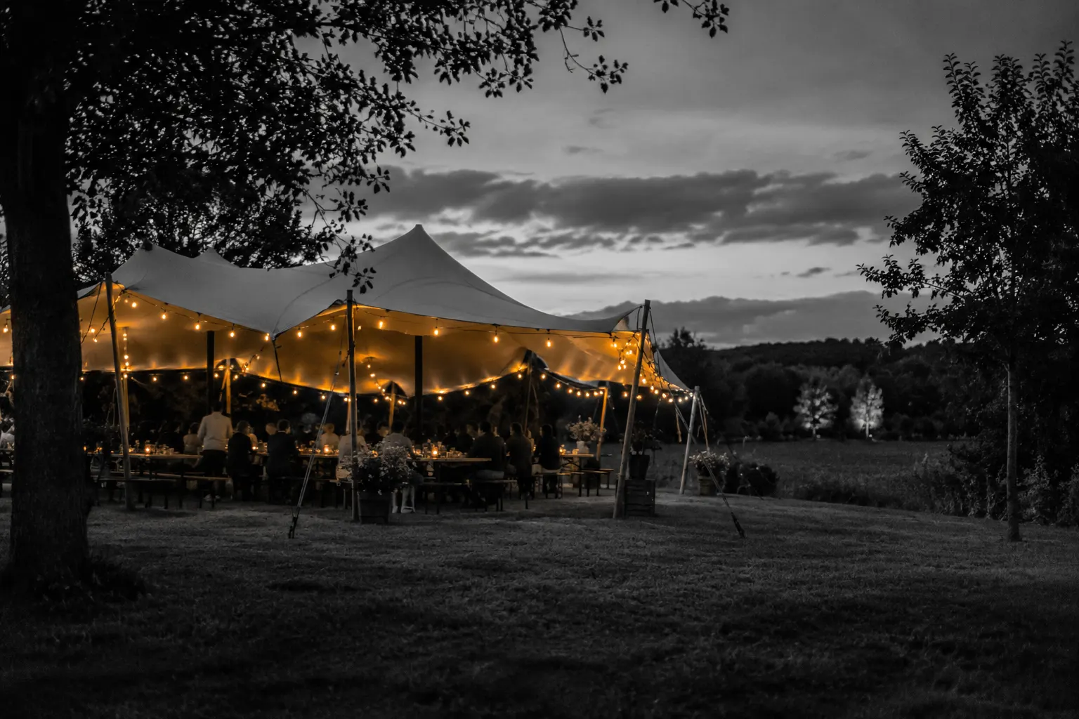 Een stretchtent met lichtslingers boven gedekte tafels, 's avonds op een grasveld.